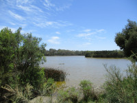 Alcoa Wellard Wetlands